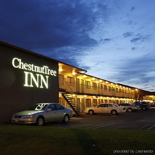 Chestnut Tree Inn Portland Mall 205 Luaran gambar